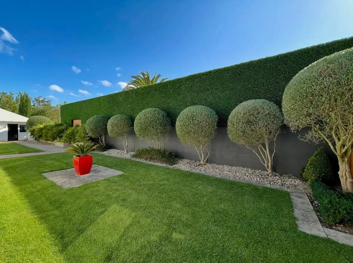 Gepflegter Garten mit geschnittenen Hecken, Kugelsträuchern und Rasenfläche – Beispiel für HashTEC-Gartenpflege bei Privatkunden.