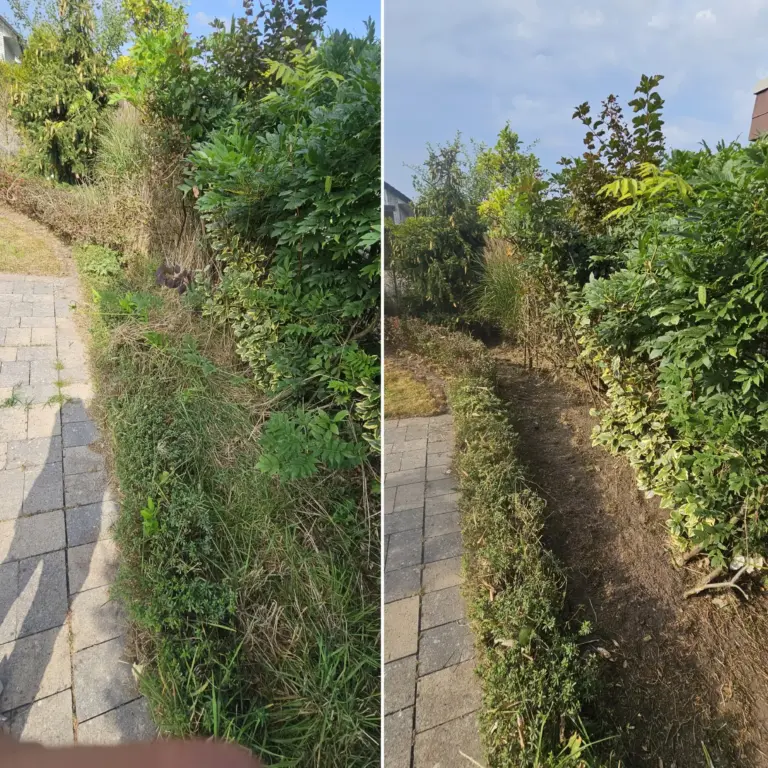 Vorher-Nachher-Vergleich einer verwilderten Hecke und eines gepflegten Wegs durch HashTEC-Hecken- und Grauflächenpflege.