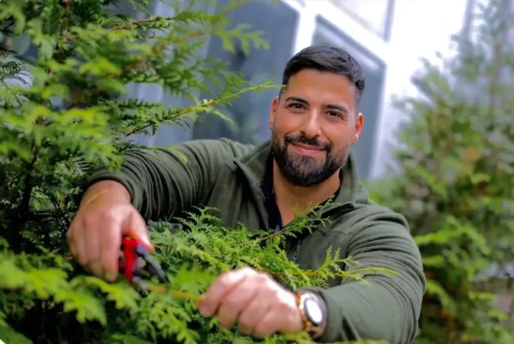 Mitarbeiter führt fachgerechten Rückschnitt einer Hecke mit Gartenschere durch – Beispiel für HashTEC-Heckenpflege.